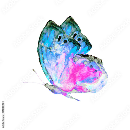 beautiful butterfly, isolated  on a white © aboard