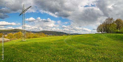 Strommast und blühender Löwenzahn auf einer grünen Wiese