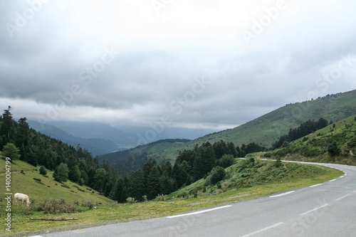 Picture of Col d'Aspin before a summer storm, a cow can be seen on the left side