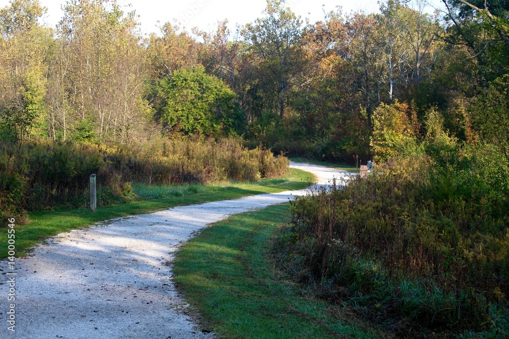 Fototapeta premium The long gravel roadie the park.