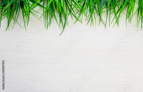 Spring green grass lying on white table