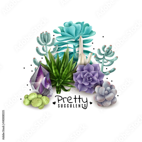 Isolated colored succulents