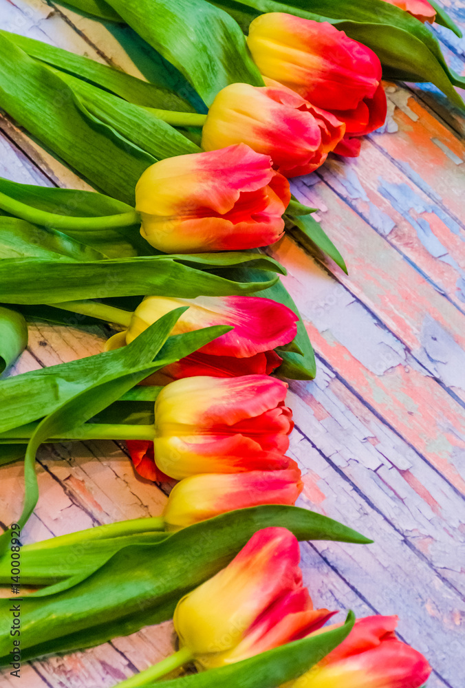 Still life with tulips on the wooden background Still life with tulips on the wooden background