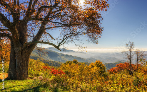 Morning fog on Blue Ridge Parkway Overlook in Autumn near Boone North Carolina