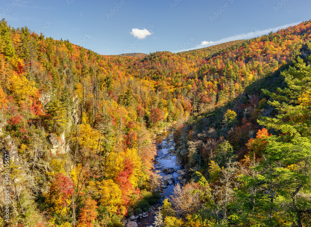 Autumn at Linville Gorge