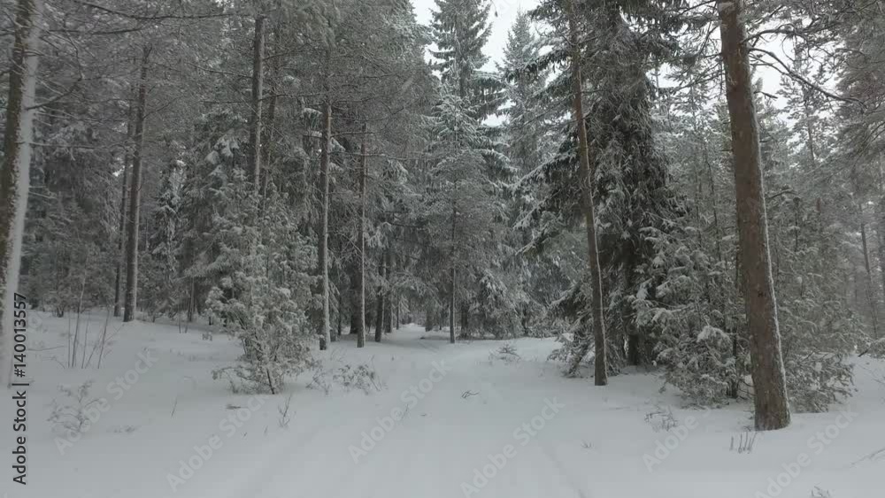 Walking in deep snow. Walking in deep snow.