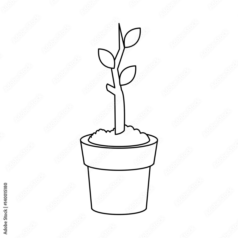 plant in a pot over white background. vecotr illustration plant in a pot over white background. vecotr illustration