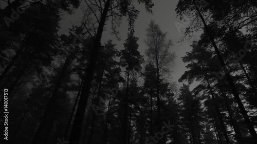 Eerie tracking shot in a dark forest.