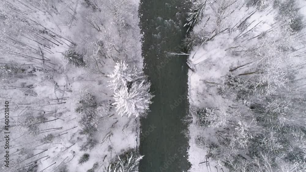 Overhead Aerial Following Cold Forest River Framed by Winter Snow Covered Trees