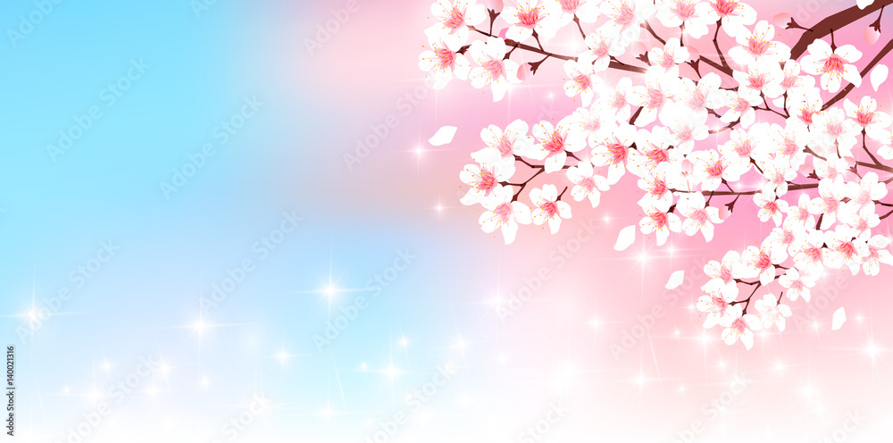 Obraz premium 桜 花 春 背景