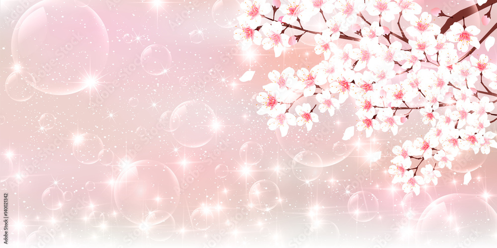 桜 花 春 背景 桜 花 春 背景