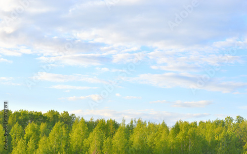 Sky and clouds over forest.