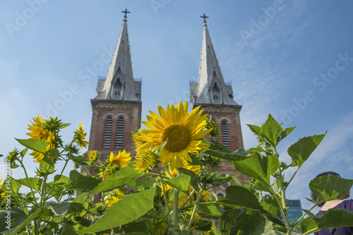 Duc Ba church photo