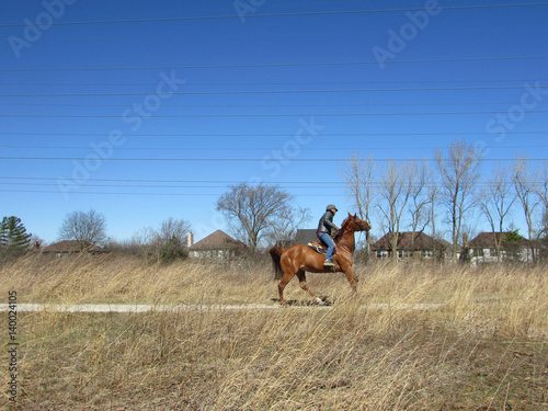 Man riding a galloping horse in late winter in Morton Grove  Illinois
