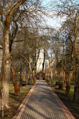 Fototapeta Naklejka Na Ścianę i Meble -  Path to an arbour./In city park there is an arbour. To an arbour the path along which conducts apple trees grow.
