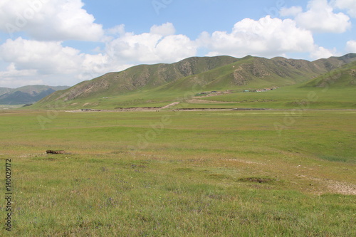 Amdo Tibetan Grassland in Summer Blue Sky White Clouds © Kim