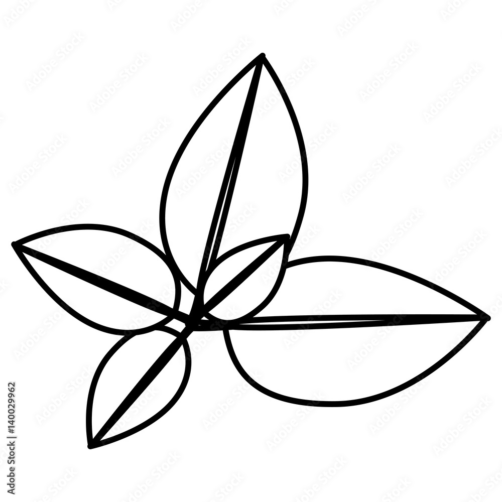 figure leaves together icon, vector illustraction design figure leaves together icon, vector illustraction design