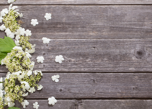 White flowers on the old wooden background