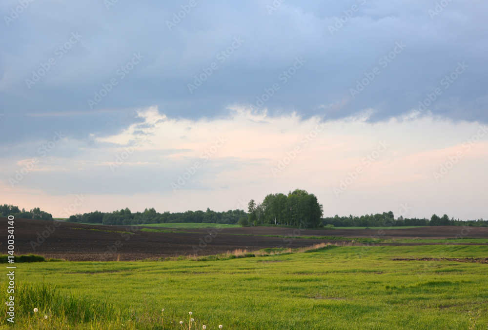 Beautiful spring country landscape, plowed field and cereals against the blue sky, agriculture 