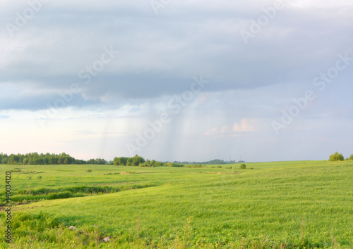 Beautiful horizontal spring landscape: the rain is coming © alex2016