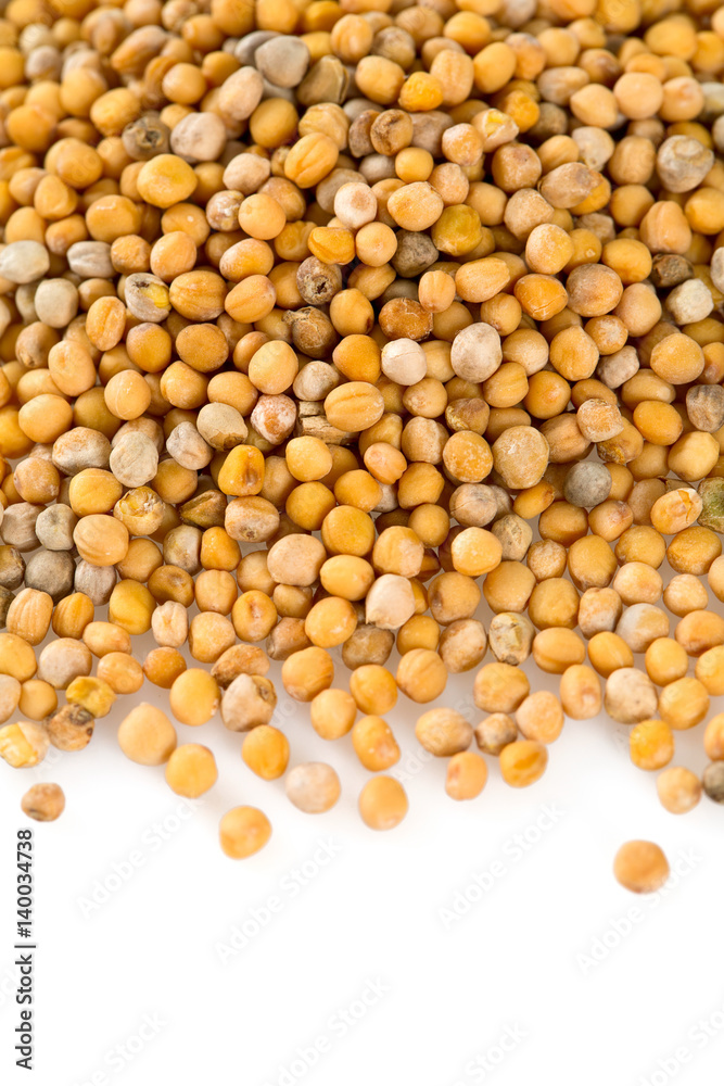 mustard isolated on white mustard isolated on white