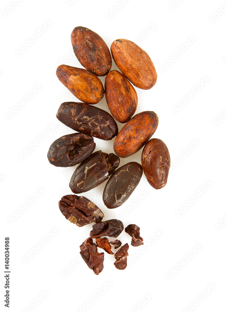 cocoa beans and nibs isolated cocoa beans and nibs isolated