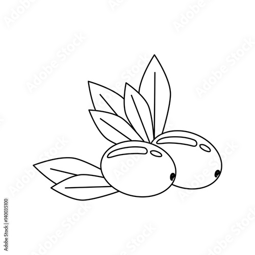 Olive oil healthy food icon vector illustration graphic design