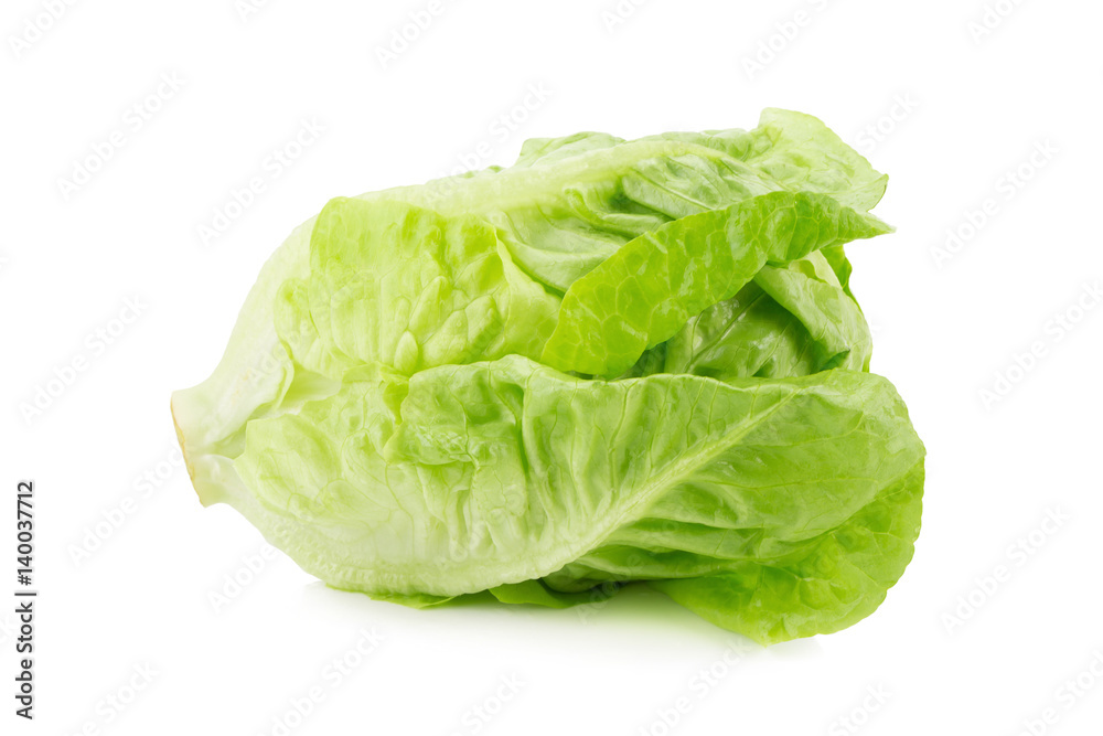 Romain Lettuce isolated on a white background. Romain Lettuce isolated on a white background.