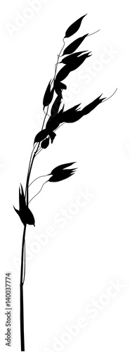 oat ear black silhouette on white background