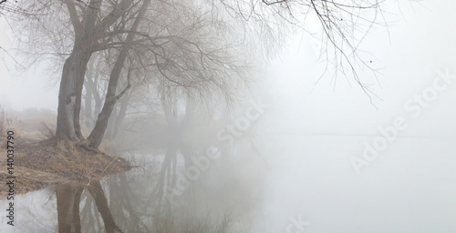 Fog over water in the spring in the early morning.