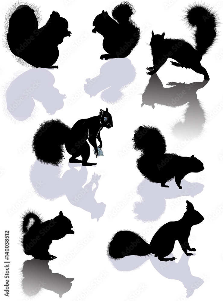 seven squirrels black silhouettes with shadows seven squirrels black silhouettes with shadows