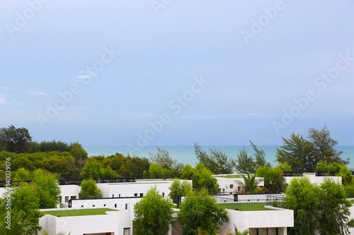 Green Space On The Rooftop photo