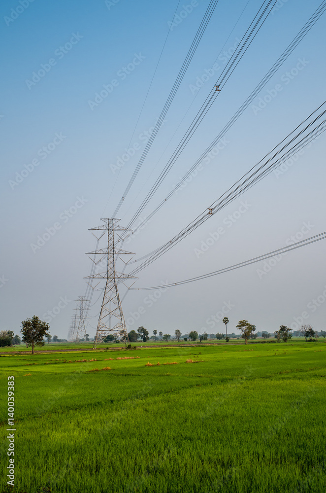 Electricity in rice field