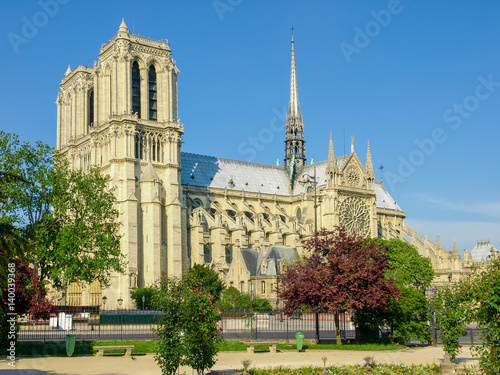 South facade of the Cathedrale Notre-Dame de Paris photo