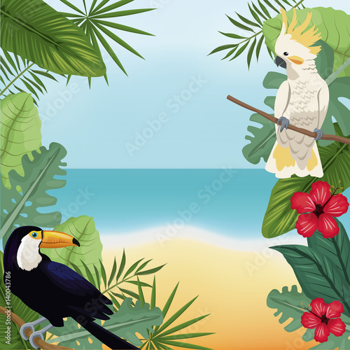 cockatoo and toucan leaves tropical beach vector illustration eps 10