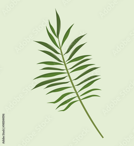 leave palm tropical natural vector illustration eps 10