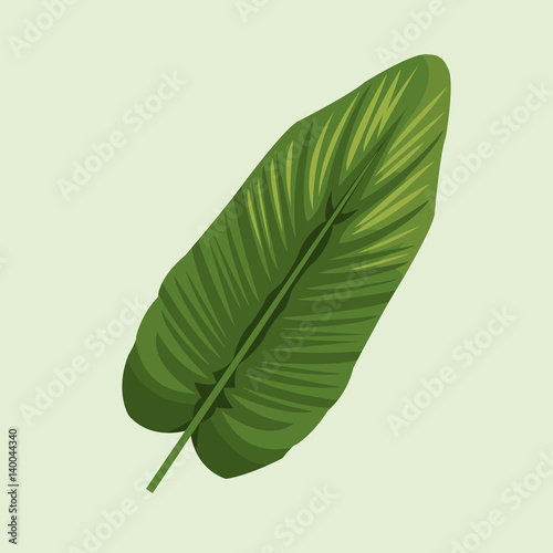 leave palm tropical natural vector illustration eps 10