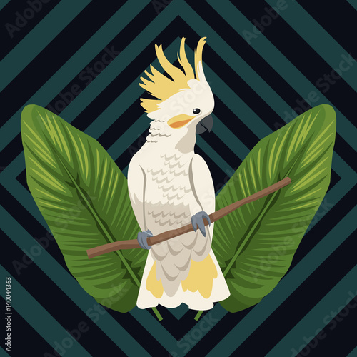 cockatoo exotic branch leaves palm vector illustration eps 10