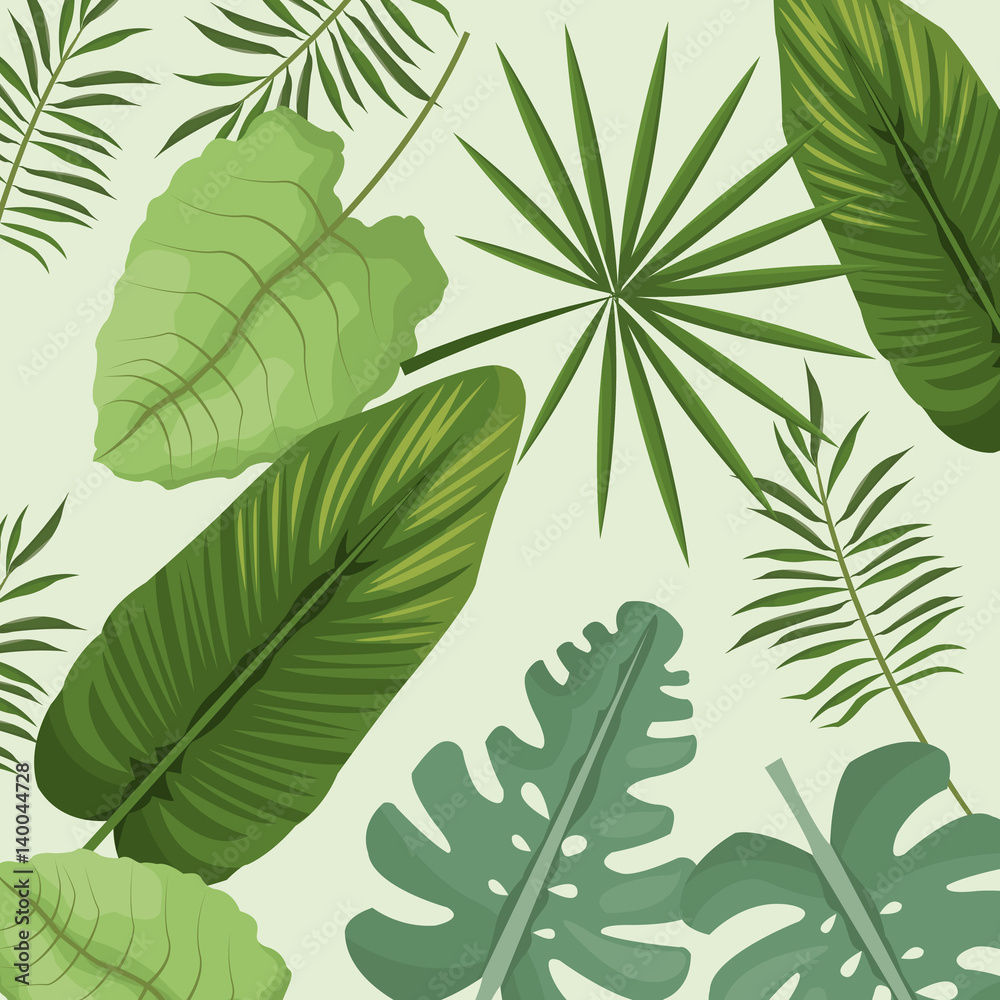 collection palm leaves natural vector illustration eps 10