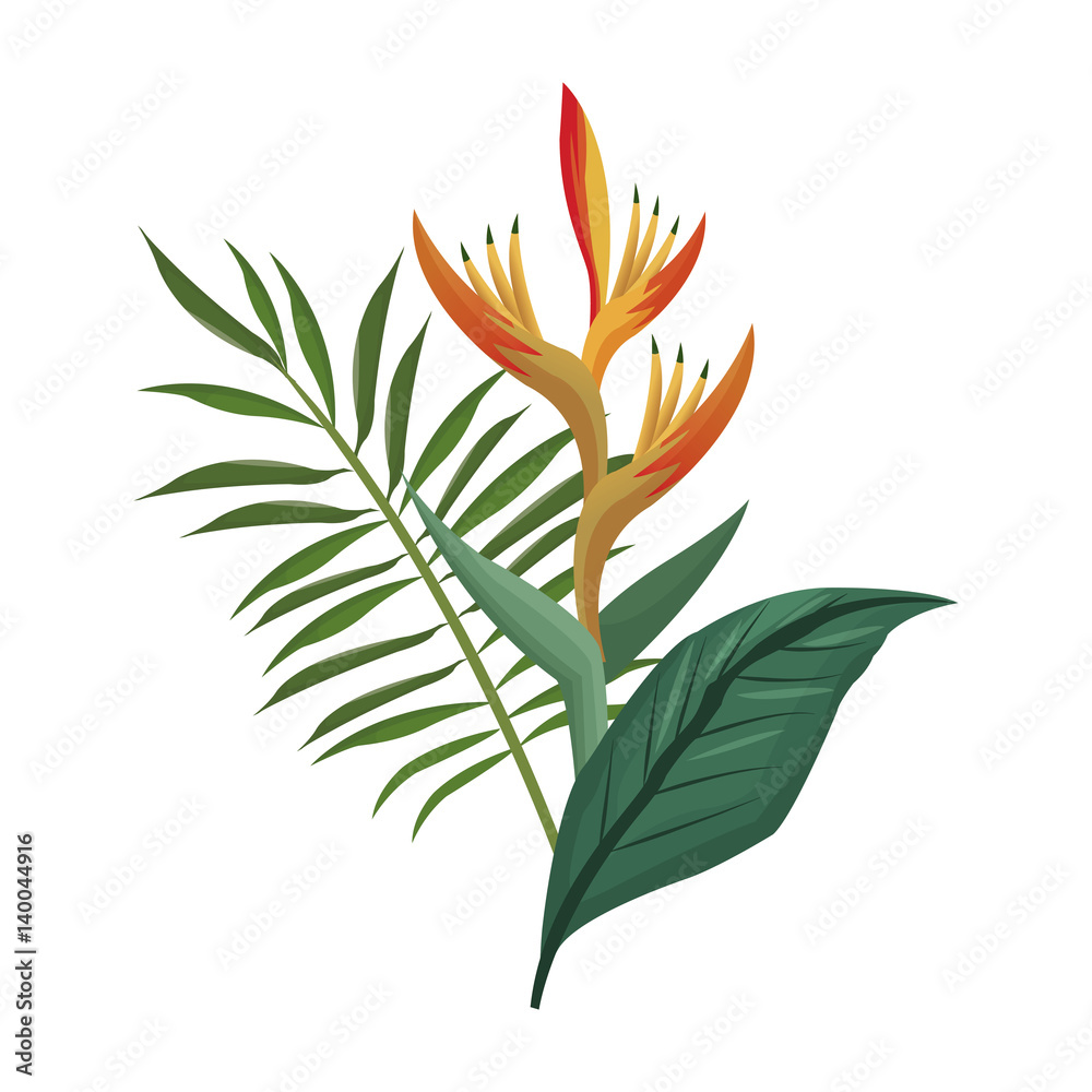 bird of paradise flower and leaves palm vector illustration eps 10 bird of paradise flower and leaves palm vector illustration eps 10