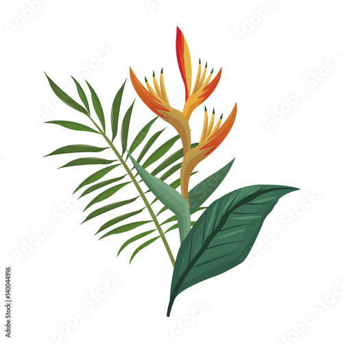 bird of paradise flower and leaves palm vector illustration eps 10