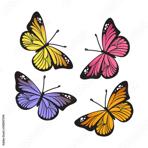 Wallpaper Mural Stylized Monarch Butterflys isolated on white background set. Vector illustration Torontodigital.ca