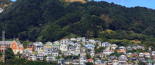 Colorful houses on Mount Victoria in Wellington, New Zealand