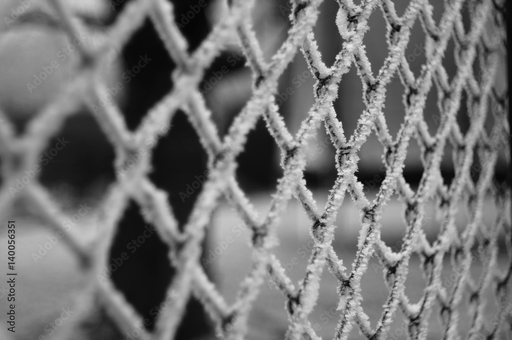 Fototapeta premium frosty wire-netting fence