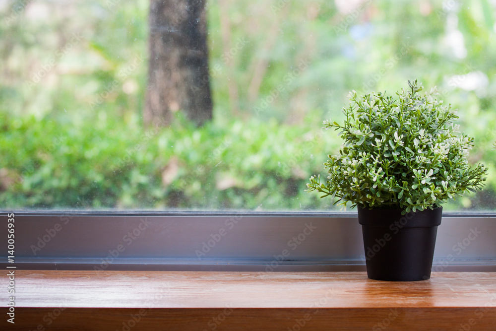 Fototapeta premium Tree in pot on floor And natural scenery outside
