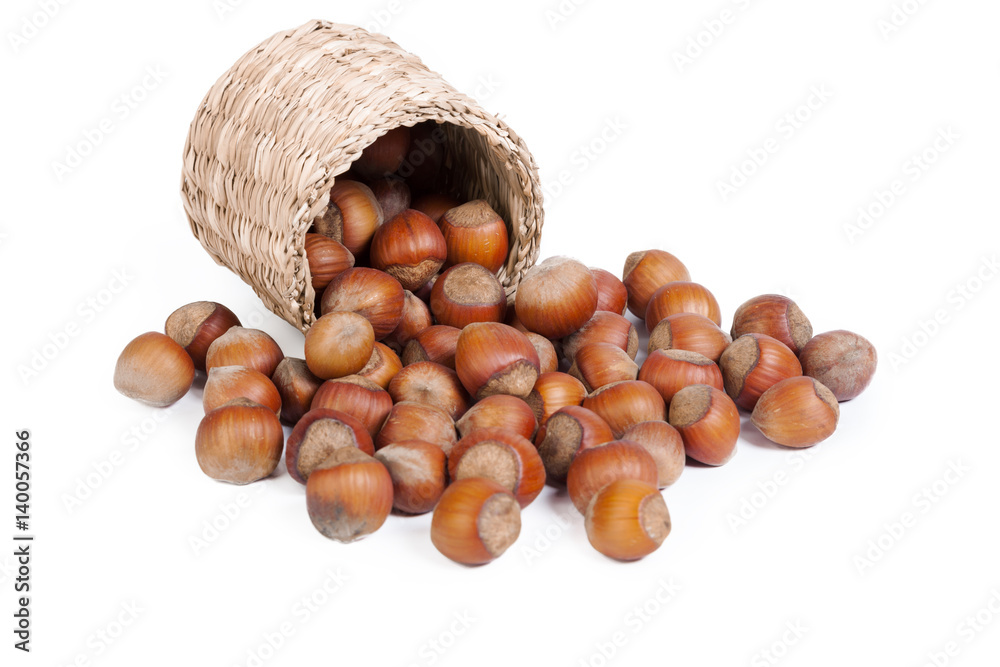 Hazelnut. Fresh organic filbert isolated on white background. Hazelnut. Fresh organic filbert isolated on white background.