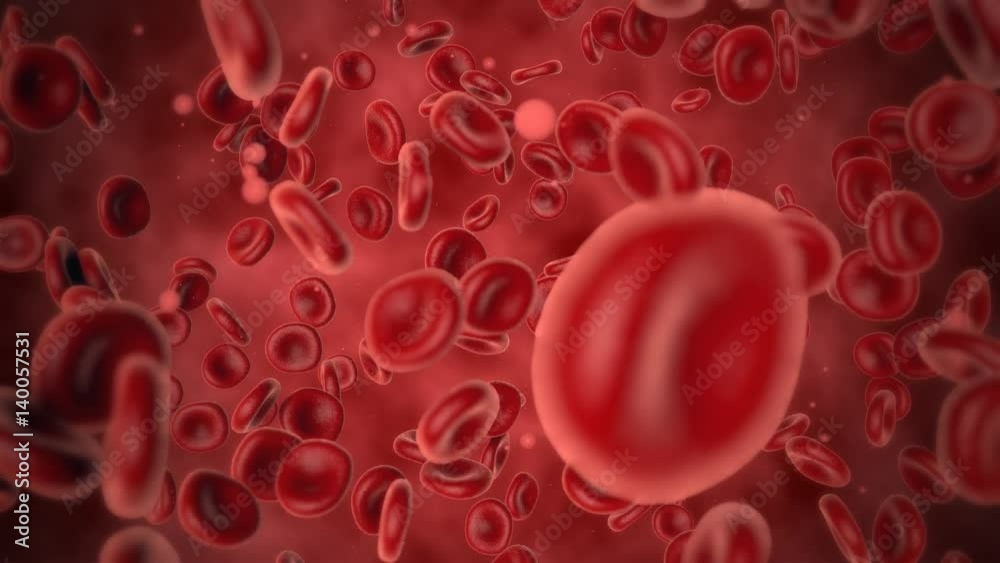 Microscopic view of blood Microscopic view of blood