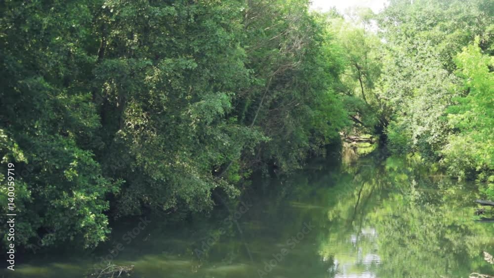 a river with green banks, summer nature a river with green banks, summer nature