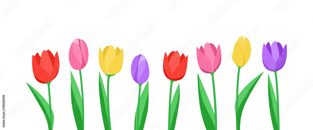 Naklejka premium Baner z tulipanami (w kolorze białym)