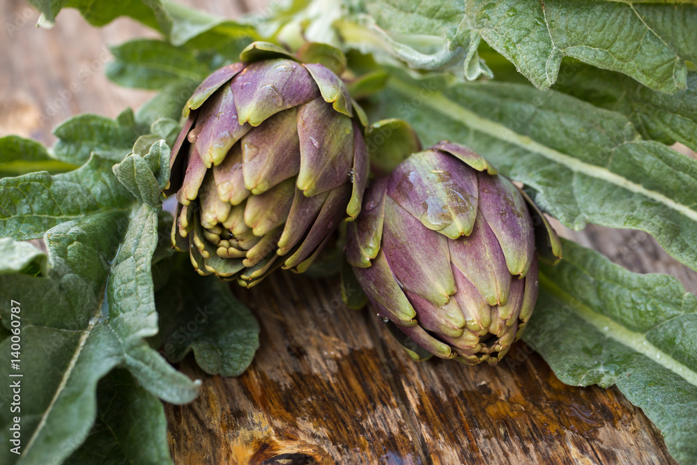 Obraz premium Artichokes